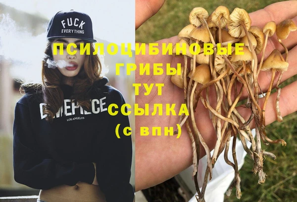 спайс Вязники